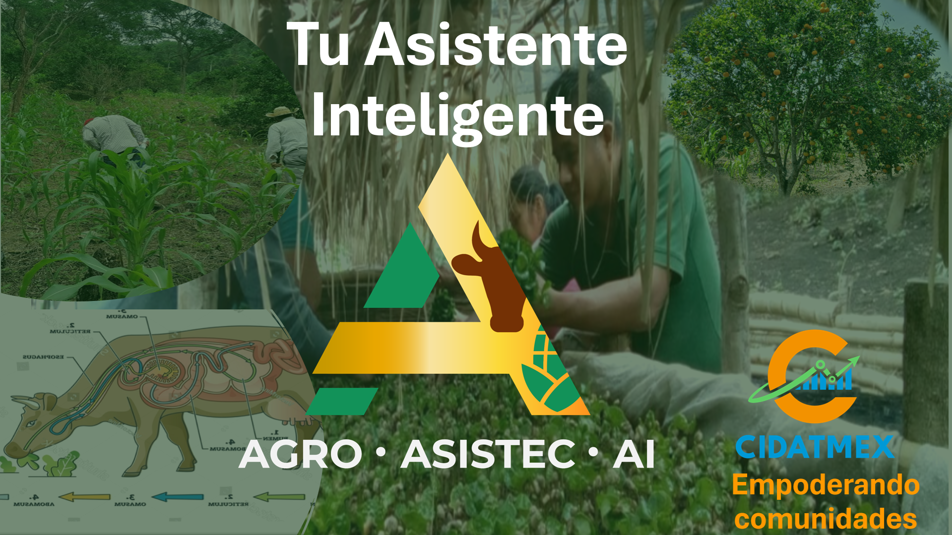 Flayer AgroAsisTec